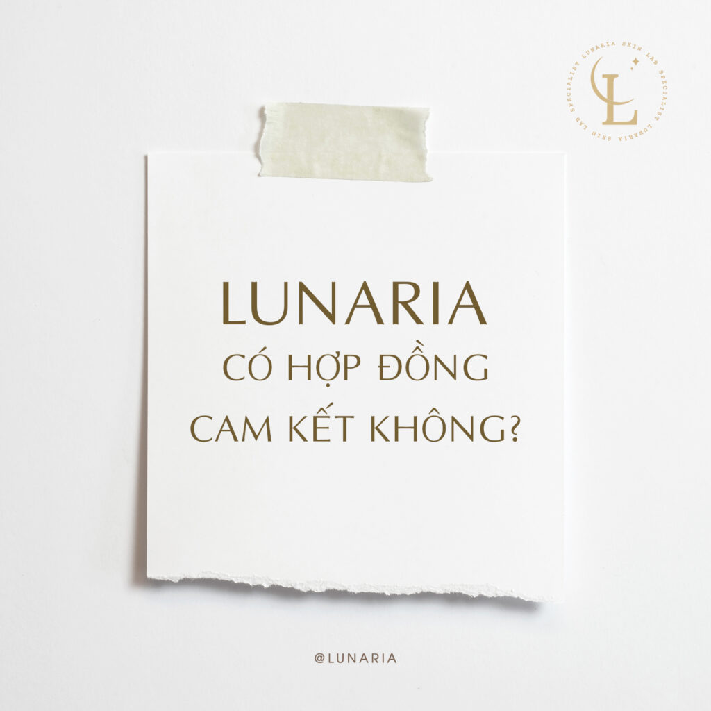 hợp đồng cam kết lunaria