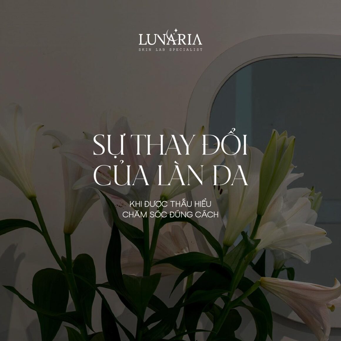 Trị mụn sau Tết tại Đà Nẵng: Giải pháp dựa trên cơ chế da, không chỉ xử lý bề mặt